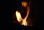 DSC04528_900.jpg