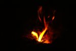 DSC04531_900.jpg