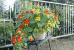 DSC04561_900.jpg