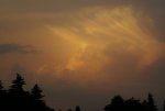 DSC04564_900.jpg