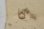 DSC04574_900.jpg