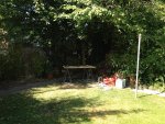 IMG_1555.jpg