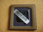 DSC01607.jpg