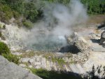 IMG_4906.JPG