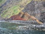 IMG_5118.JPG