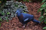 DSC_0095.jpg