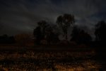 PK5_8414.jpg