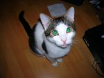 DSCN3210.JPG