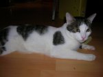 DSCN3228.JPG
