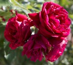 PS2_DSC_0008.jpg