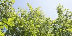 PS4_DSC_0024.jpg