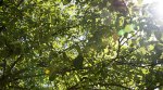 PS5_DSC_0027.jpg