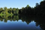 _DSC0007k_01.JPG