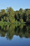 _DSC0011k_01.JPG