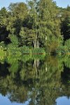 _DSC0017k_01.jpg