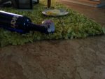 20120911_092130.jpg
