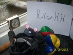 100_4828.JPG