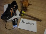 DSC03170.jpg