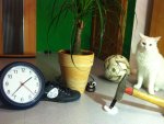 IMG_1935.jpg