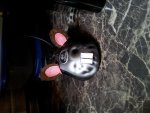 20120912_113735.jpg