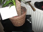 DSCF0987.jpg