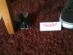IMG_20120912_184118.jpg