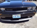 IMG_1206.jpg