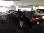 IMG_1208.JPG