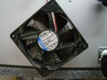 DSC00392.JPG