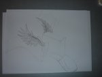 DSC07596.JPG