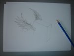 DSC07595.JPG