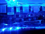 Foto0426.jpg