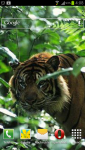 Screenshot_2012-09-30-04-08-45.png