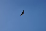 DSC00126.jpg