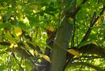 DSC00216.jpg