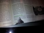 20121002_211231.jpg