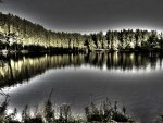 IMG_1582.jpg
