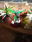 DSC04704.jpg