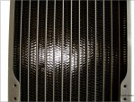 IMG_8584.JPG