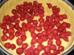 DSC01615.jpg