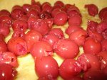 DSC01616.jpg