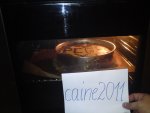 DSC00530.jpg