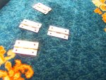 SDC16034.jpg