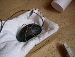 DSCN1736.JPG