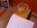 DSCN1738.JPG