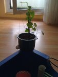 PCGHX Runde 9 (3).JPG