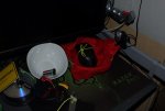 DSC06068.JPG