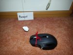 20121014_161955.jpg