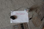 IMG_2018.jpg
