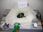 DSCF1128.jpg